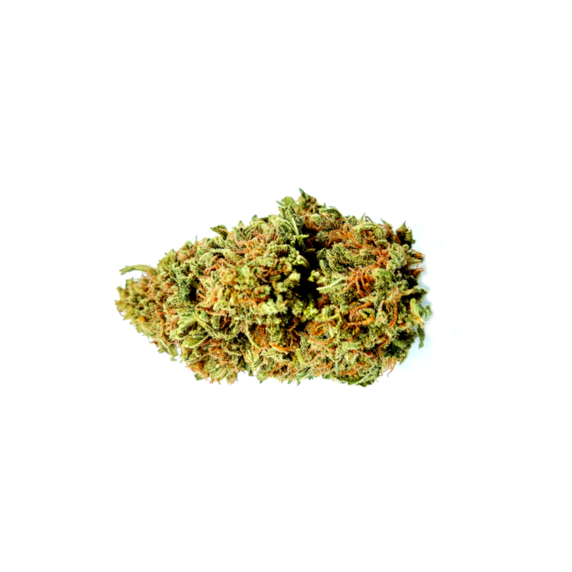 Royal Highness | Diem Farms